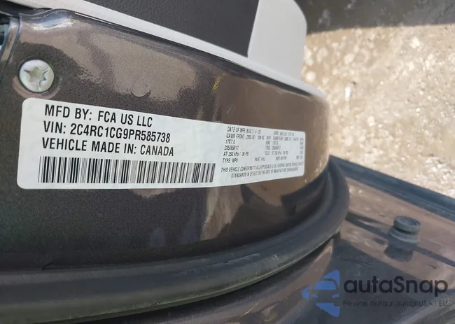 2C4RC1CG9PR585738: 42209993