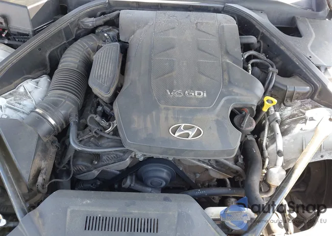 KMHGN4JE6FU055129: 42209184