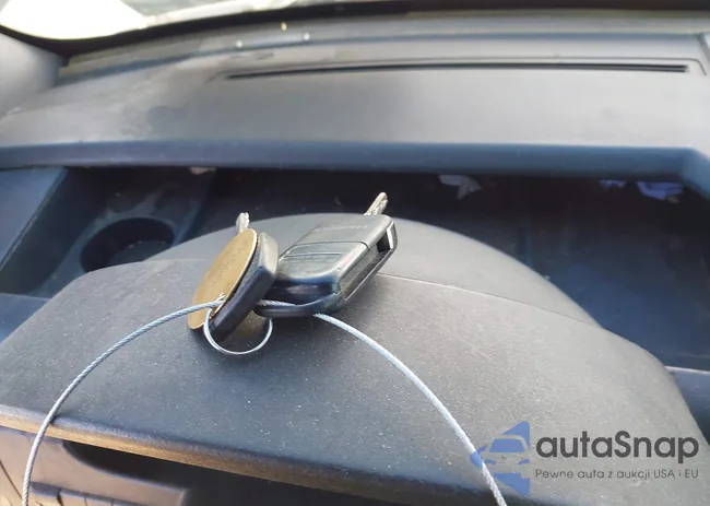 WD3PE8CB6B5594556: 42211497