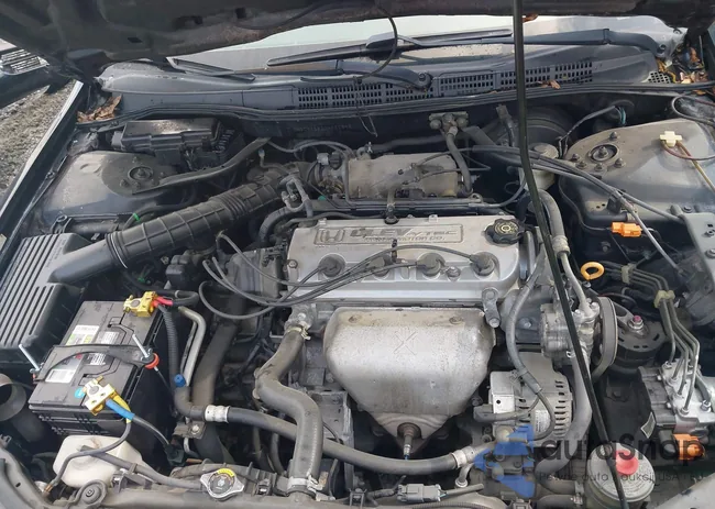 1HGCG66822A066895: 42211932