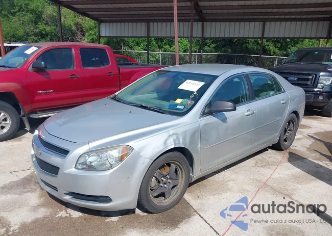 1G1ZB5E09CF179091: 42211117