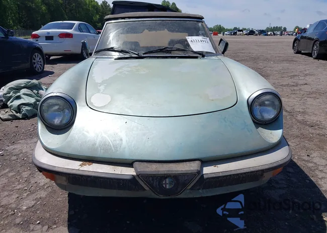 ZARBA5411D1016042: 42214912