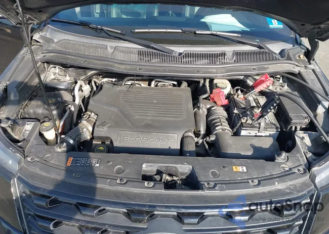 1FM5K8GT0GGB91253: 42214067