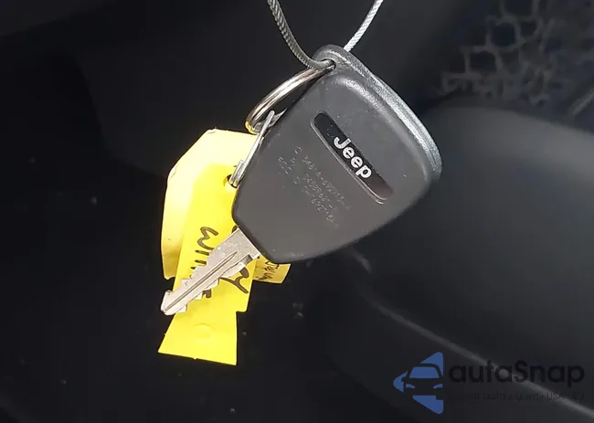 1C4HJWEG1GL252860: 42215620