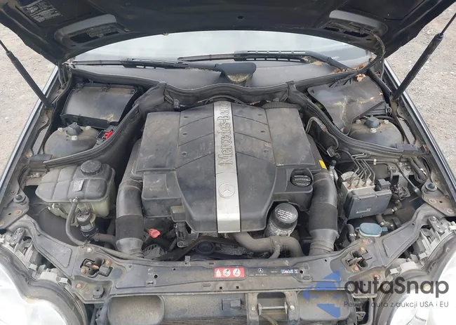 WDBRF84J65F655385: 42215928