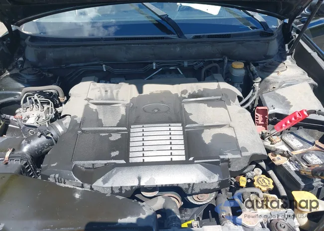 4S4BRDLC9C2241555: 42215032