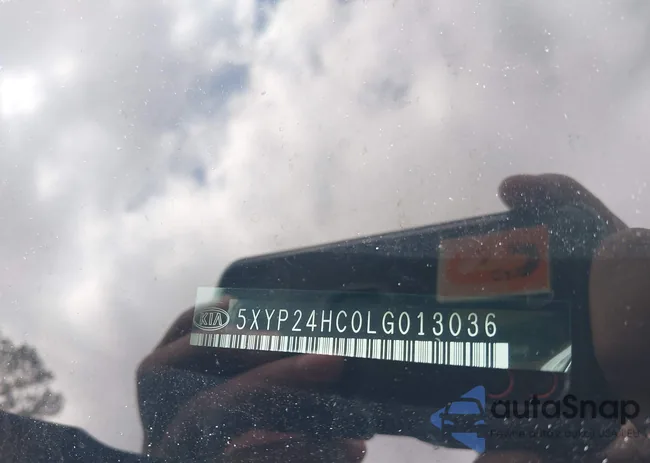 5XYP24HC0LG013036: 42215079