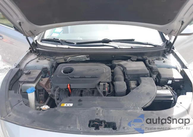 5NPE24AF3FH147614: 42216901