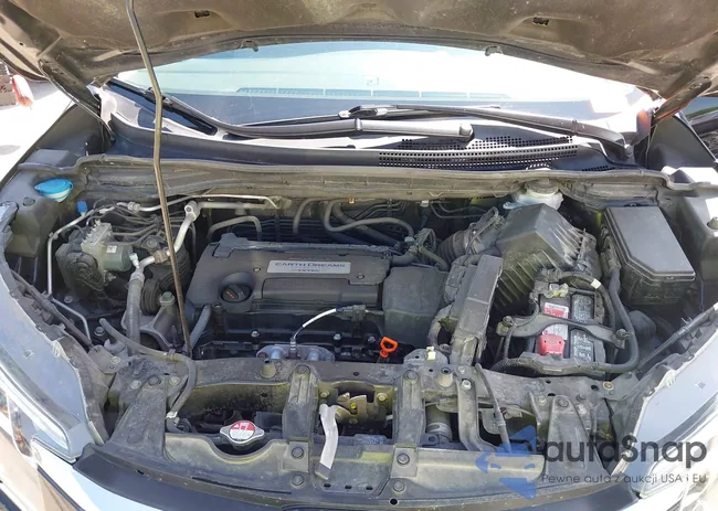 5J6RM4H78FL101552: 42217533