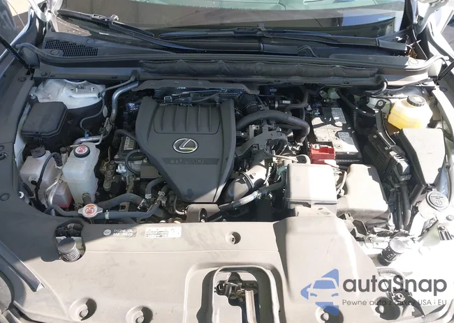 2T2BAMBA0RC028513: 42217962