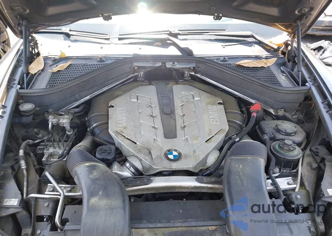 5UXFG8C5XALZ94621: 42218683