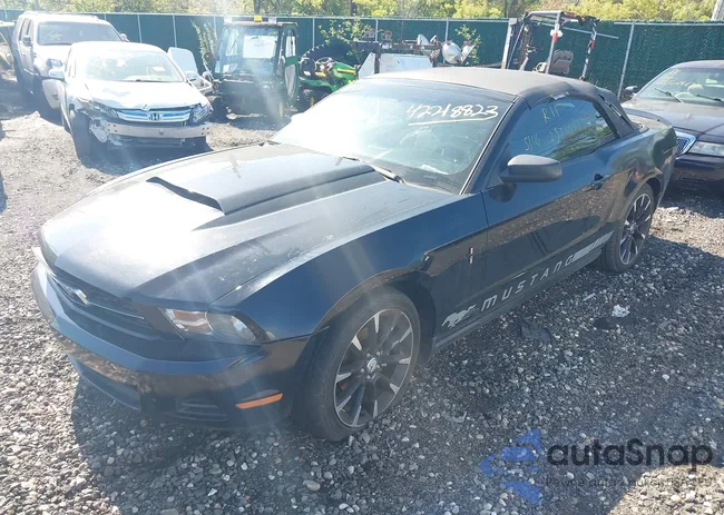 1ZVBP8EN6A5175524: 42218823