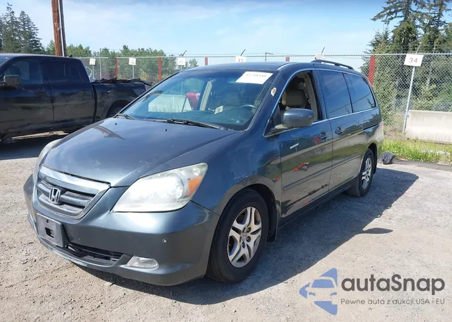 5FNRL38825B008667: 42218388