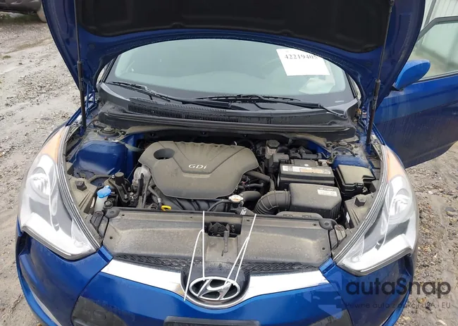 KMHTC6AD8HU310244: 42219405