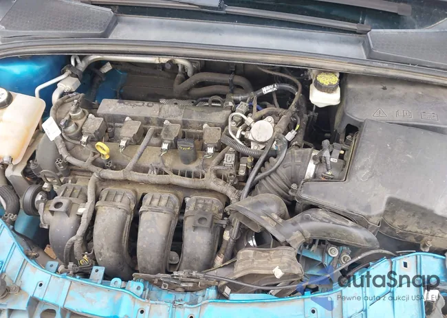 1FADP3F23HL220837: 42219616