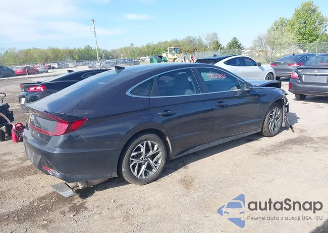 KMHL64JA6PA275513: 42219655