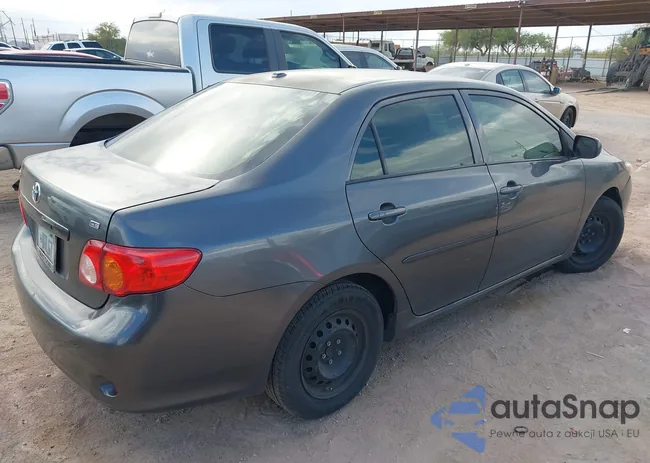 2T1BU4EEXAC402026: 42219166