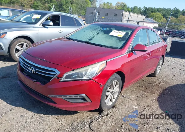 5NPE24AF4FH123645: 42219292