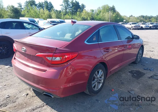 5NPE24AF4FH123645: 42219292