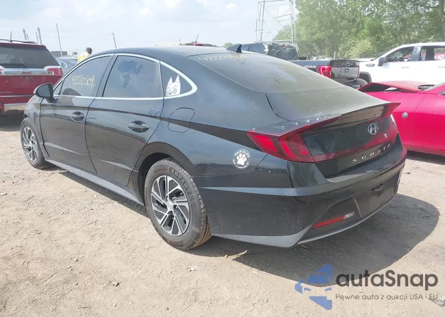 KMHL24JJ9MA033161: 42220509