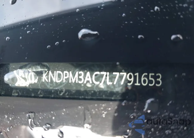 KNDPM3AC7L7791653: 42220604