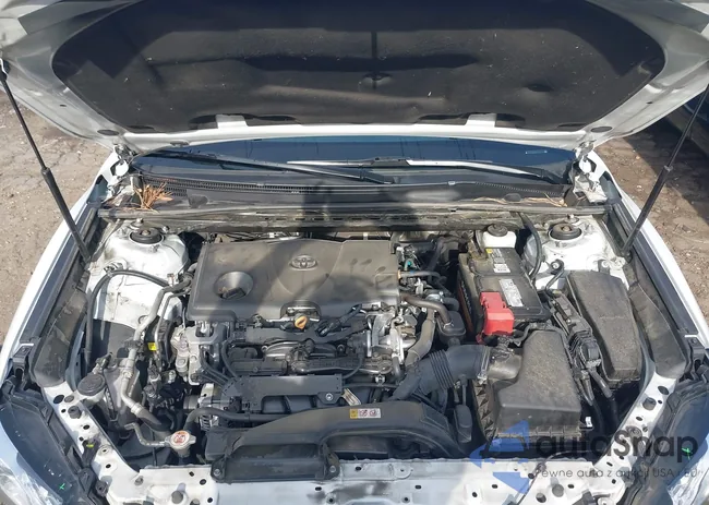 4T1F11AK1LU996222: 42220817