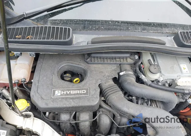 1FADP5AU0JL103419: 42220919