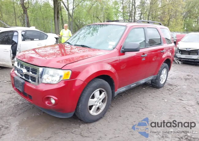 1FMCU9DG9BKA30856: 42220342