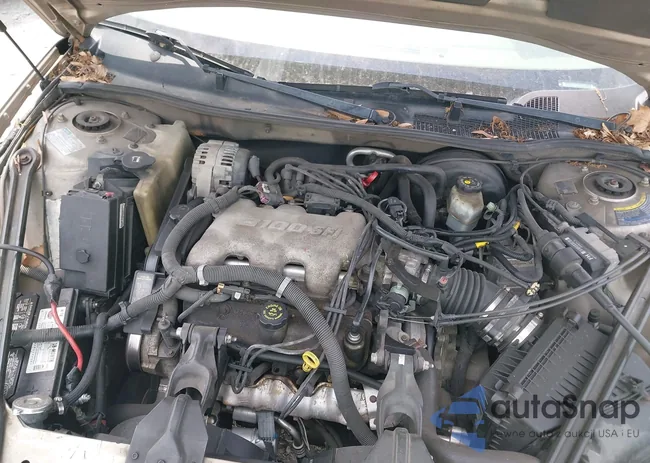 2G4WS52JX21137828: 42220391