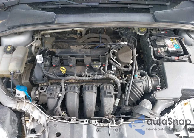 1FADP3F29EL312501: 42221796