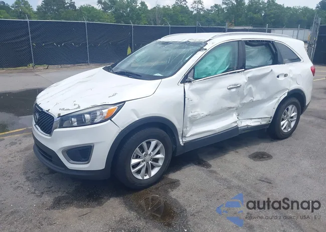 5XYPG4A3XGG096931: 42221808