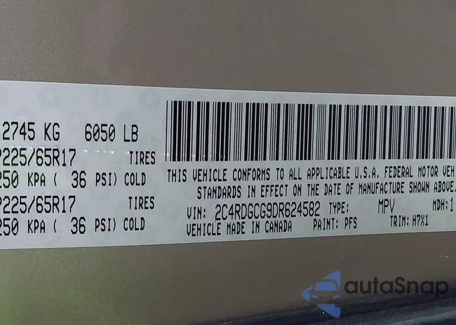 2C4RDGCG9DR624582: 42221817