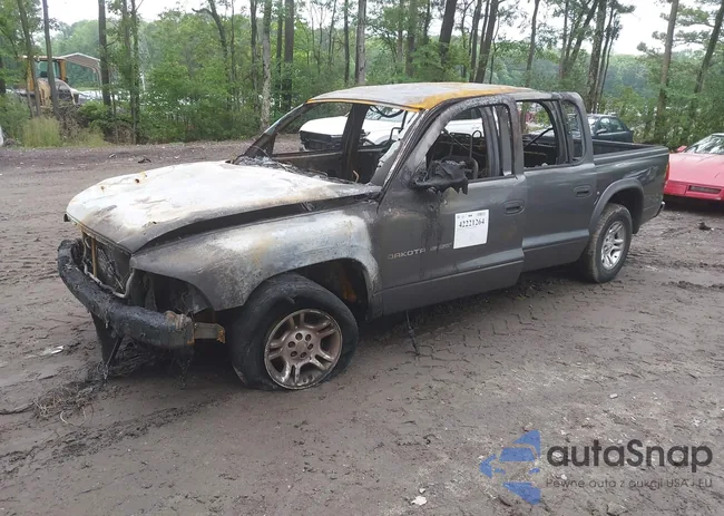 1B7HL38X92S564699: 42221264