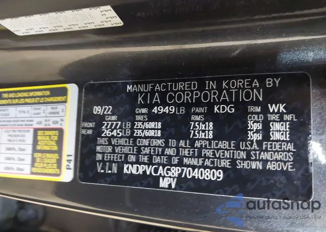 KNDPVCAG8P7040809: 42222979