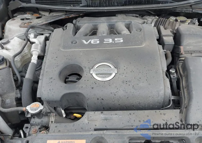 1N4BL3AP1DC286643: 42223815