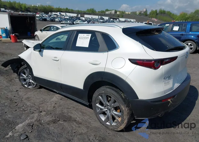 3MVDMBCM8PM516984: 42223215