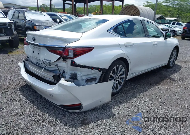 58AD21B19LU005884: 42224571