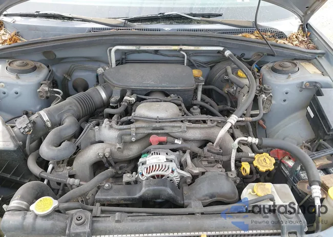 JF1SG63666G733151: 42224801