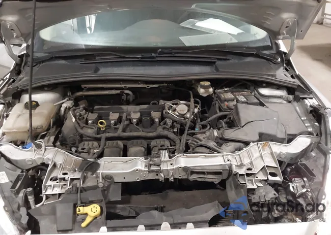 1FADP3E29HL258106: 42224864