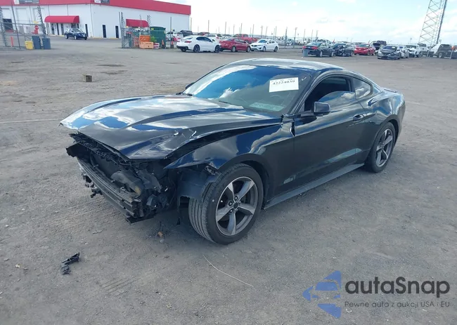 1FA6P8AM4G5207757: 42224039