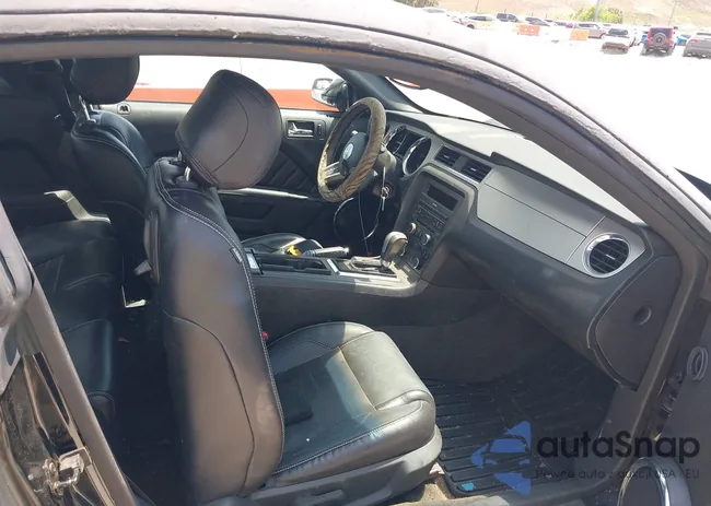 1ZVBP8AM0E5264508: 42224093