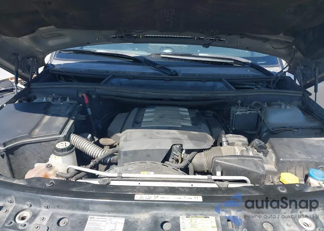 SALME15427A246341: 42224372