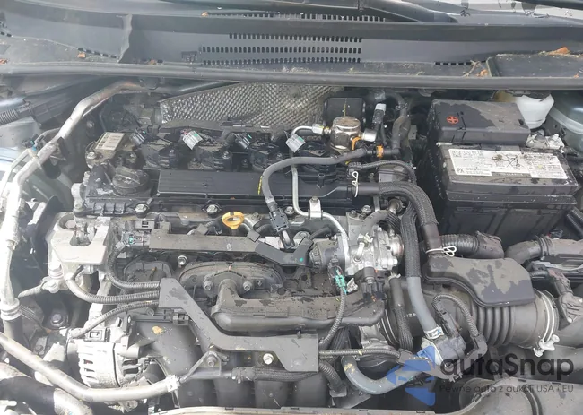 5YFB4MDE5RP118820: 42225471