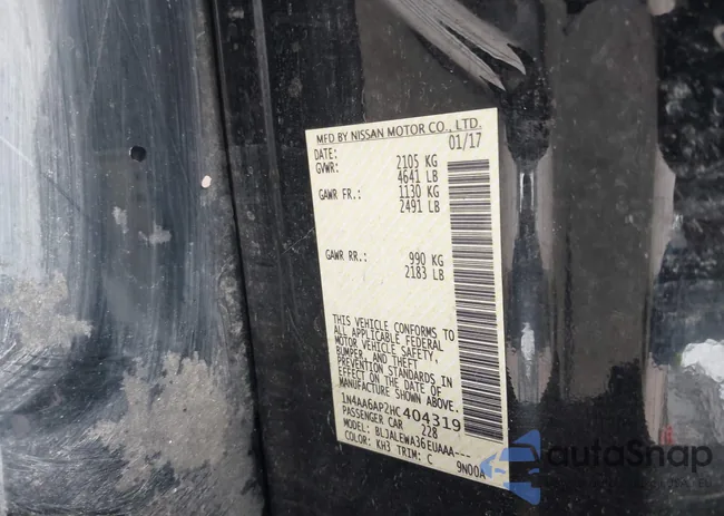 1N4AA6AP2HC404319: 42225731