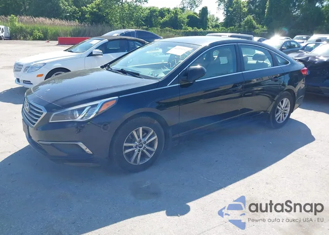 5NPE24AF6GH422877: 42225152