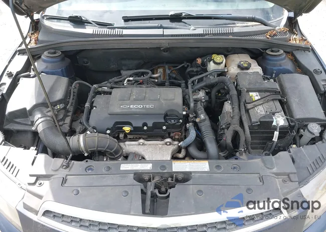 1G1PJ5S96B7219181: 42226513