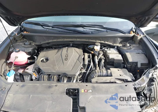 5NMJB3DE5RH342403: 42226847