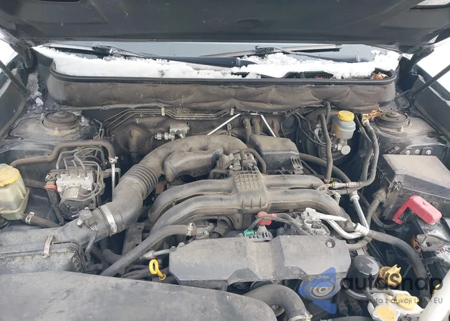 4S4BRBKC9D3238737: 42226154