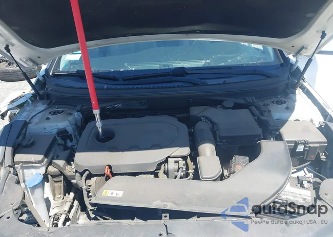 5NPE24AFXHH574114: 42226216