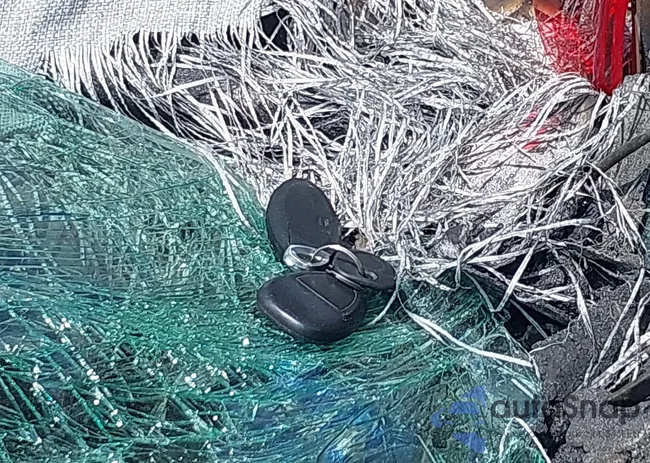 1FTEW1EF9HFA42215: 42228291